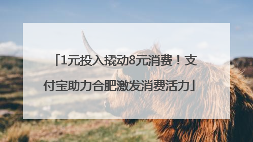 1元投入撬动8元消费！支付宝助力合肥激发消费活力