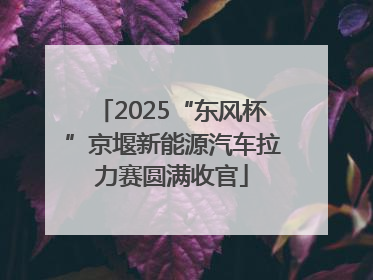 2025“东风杯”京堰新能源汽车拉力赛圆满收官