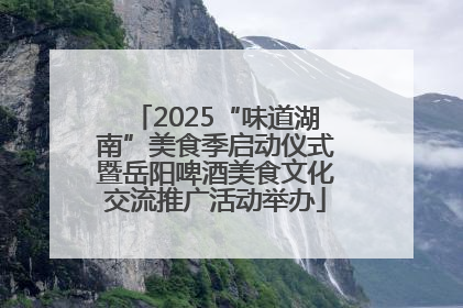 2025“味道湖南”美食季启动仪式暨岳阳啤酒美食文化交流推广活动举办