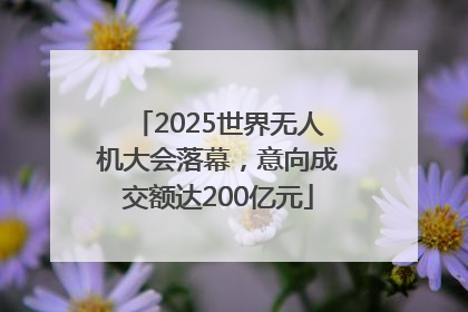 2025世界无人机大会落幕，意向成交额达200亿元