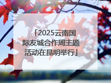 2025云南国际友城合作周主题活动在昆明举行