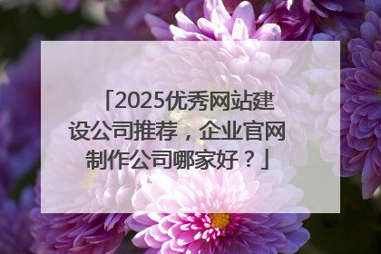 2025优秀网站建设公司推荐，企业官网制作公司哪家好？