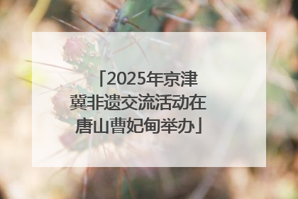 2025年京津冀非遗交流活动在唐山曹妃甸举办