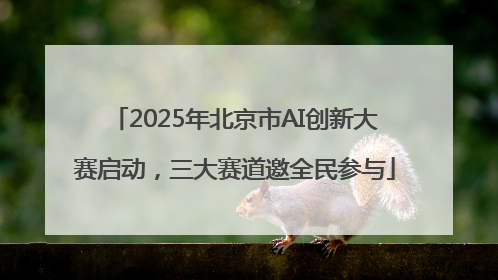 2025年北京市AI创新大赛启动，三大赛道邀全民参与