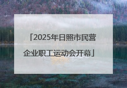 2025年日照市民营企业职工运动会开幕