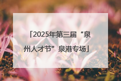 2025年第三届“泉州人才节”泉港专场