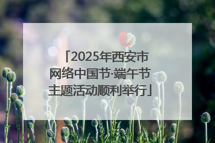 2025年西安市网络中国节·端午节主题活动顺利举行