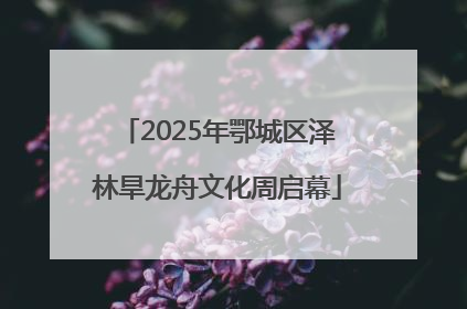 2025年鄂城区泽林旱龙舟文化周启幕