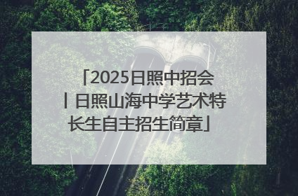 2025日照中招会丨日照山海中学艺术特长生自主招生简章