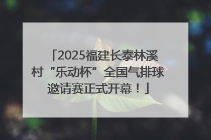 2025福建长泰林溪村“乐动杯”全国气排球邀请赛正式开幕！