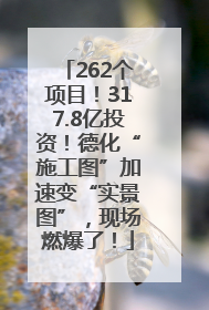 262个项目！317.8亿投资！德化“施工图”加速变“实景图”，现场燃爆了！