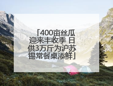 400亩丝瓜迎来丰收季 日供3万斤为沪苏锡常餐桌添鲜