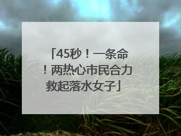45秒!一条命!两热心市民合力救起落水女子