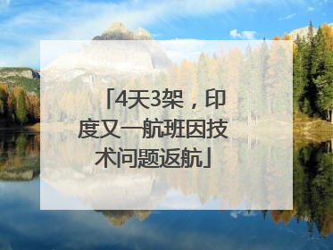 4天3架，印度又一航班因技术问题返航