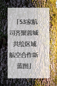 53家航司齐聚蓉城 共绘区域航空合作新蓝图
