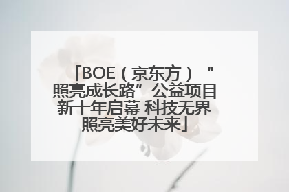 BOE（京东方）“照亮成长路”公益项目新十年启幕 科技无界照亮美好未来