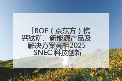 BOE（京东方）携钙钛矿、新能源产品及解决方案亮相2025 SNEC 科技创新赋能行业绿色发展