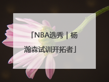 NBA选秀｜杨瀚森试训开拓者