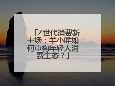 Z世代消费新主场：羊小咩如何重构年轻人消费生态？