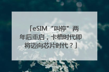 eSIM“叫停”两年后重启，卡槽时代即将迈向芯片时代？